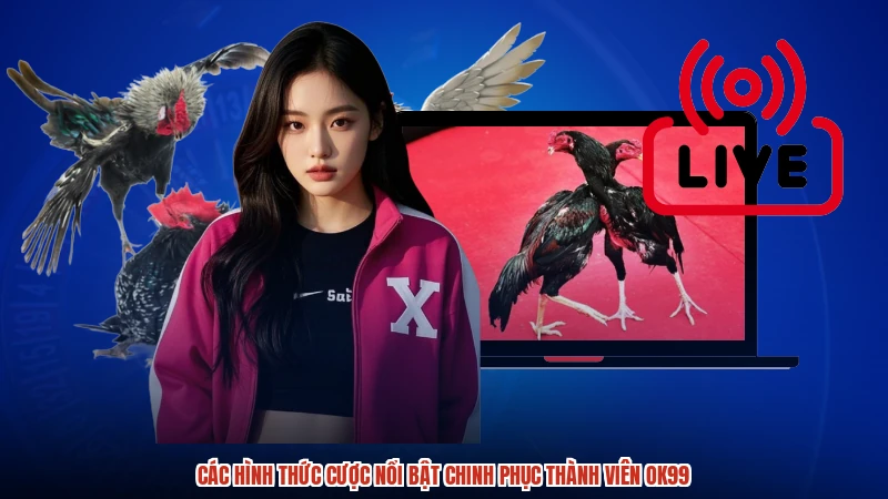 Các hình thức cược nổi bật chinh phục thành viên OK99