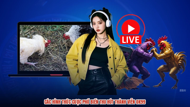 Các hình thức cược phổ biến thu hút thành viên OK99