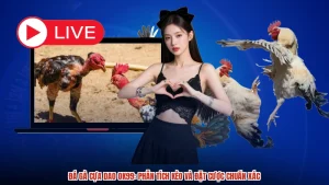 Đá Gà Cựa Dao OK99: Phân Tích Kèo Và Đặt Cược Chuẩn Xác