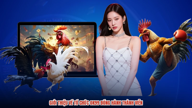 Giới thiệu về tổ chức OK99 đồng hành thành viên