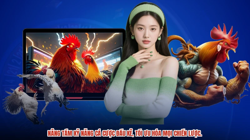 Nâng tầm kỹ năng cá cược đấu kê, tối ưu hóa mọi chiến lược.