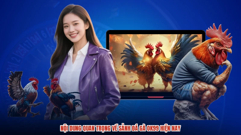 Nội dung quan trọng về sảnh đá gà OK99 hiện nay